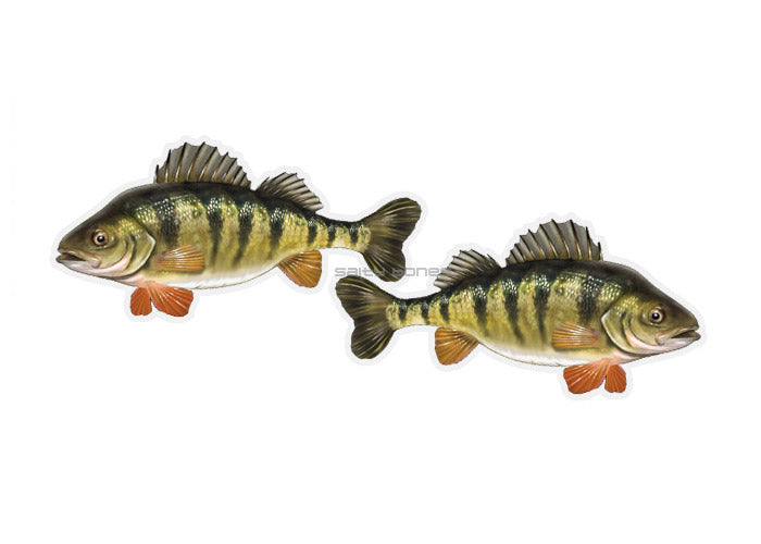 Yellow Perch Profile Fish Decals