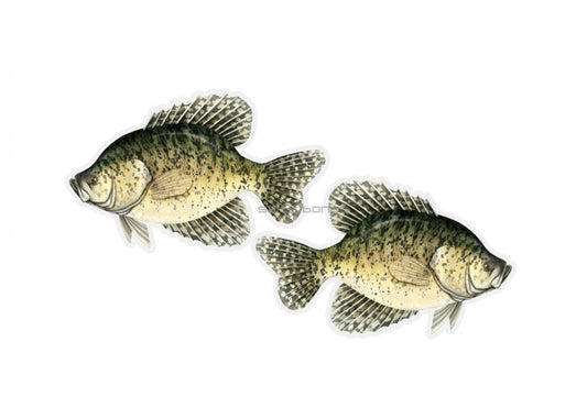 Crappie Profile Fish Decals