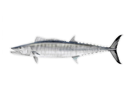 Kingfish Profile Fish Decal