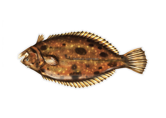 Fluke Profile Fish Decal