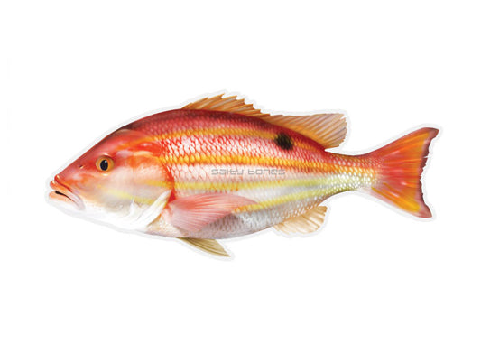 Lane Snapper Profile Fish Decal
