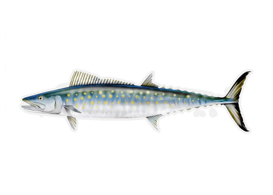 Spanish Mackerel Profile Fish Decal