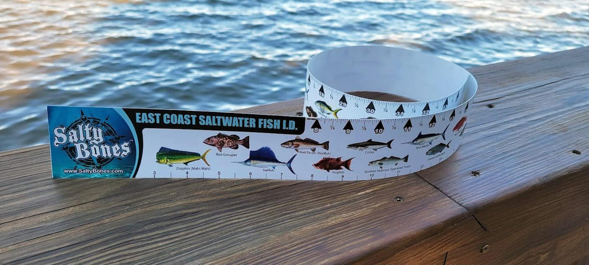 Fish Bones Ruler Salty Bones East Coast Saltwater Fish ID Sticker Ruler