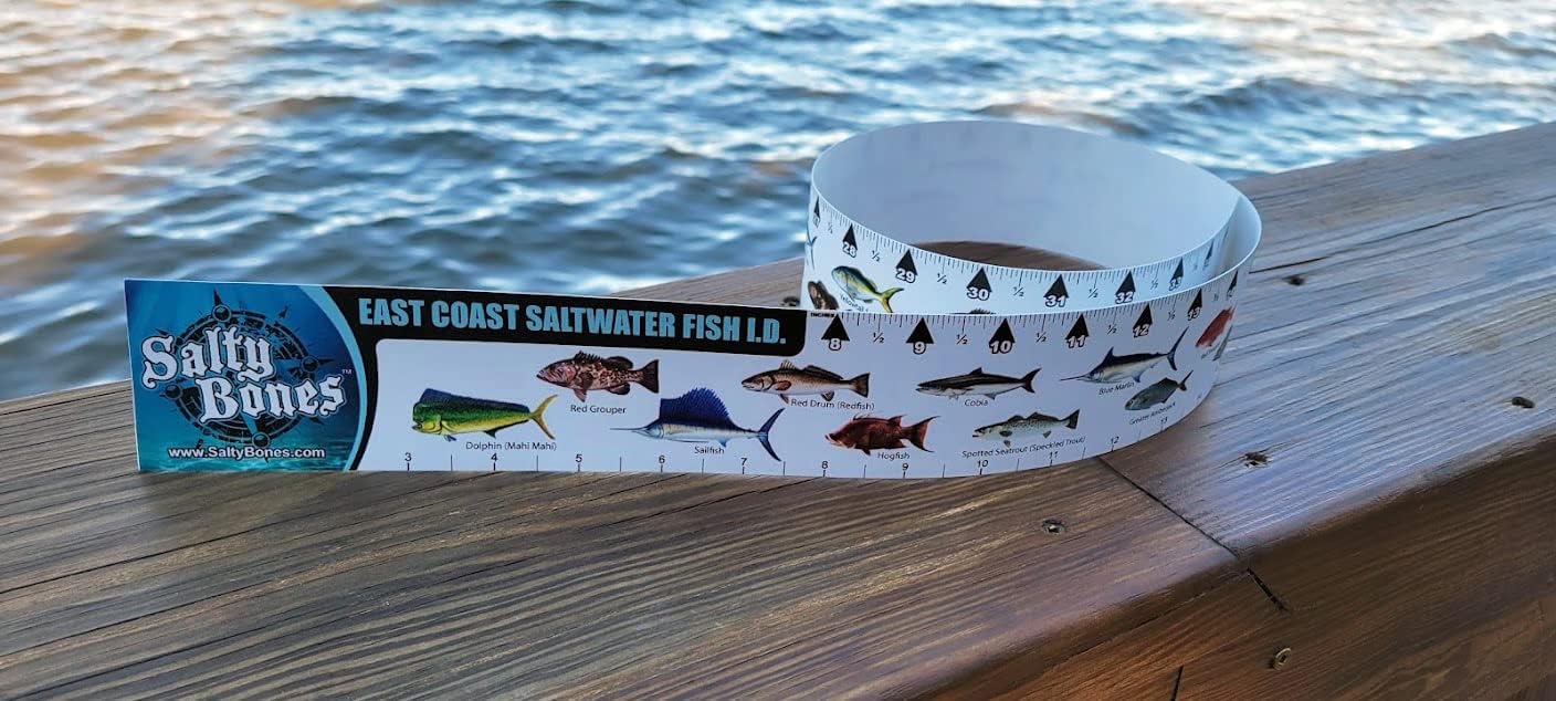 Salty Bones East Coast Saltwater Fish ID 36" Sticker Ruler