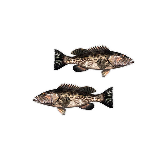 Black Grouper Mini Profile Fish Decals