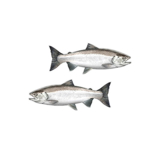 Chinook Salmon Mini Profile Fish Decals