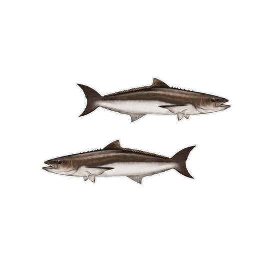 Cobia Mini Profile Fish Decals