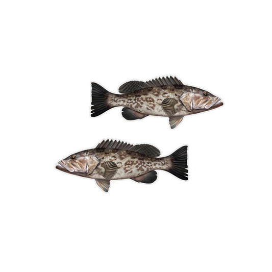 Gag Grouper Mini Profile Fish Decals