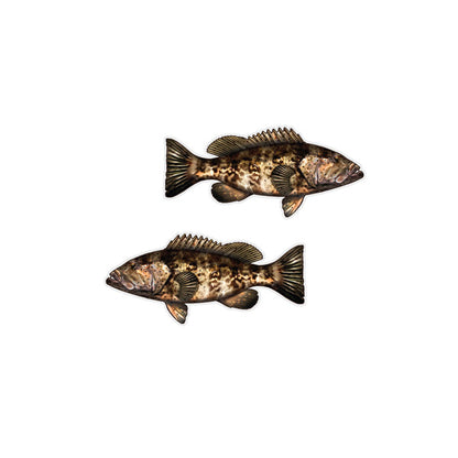 Goliath Grouper Mini Profile Fish Decals