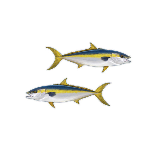 Pacific Yellowtail Mini Profile Fish Decals