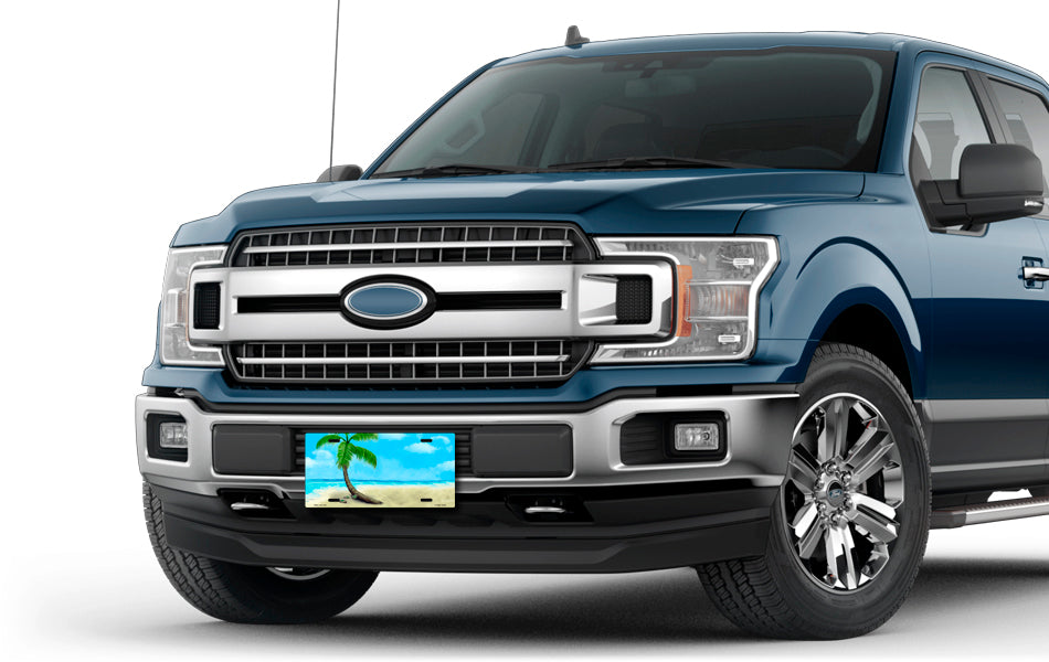 Palm Beach Scenic License Plate