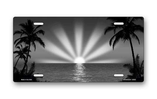 Gray and Black Sunburst Scenic License Plate