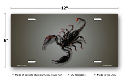 Scorpion on Gray License Plate