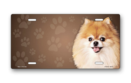 Pomeranian on Paw Prints License Plate