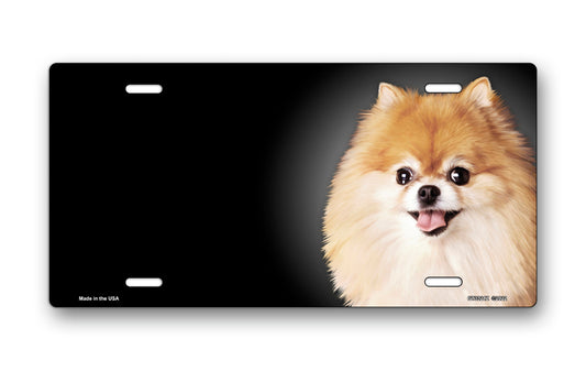 Pomeranian on Black Offset License Plate