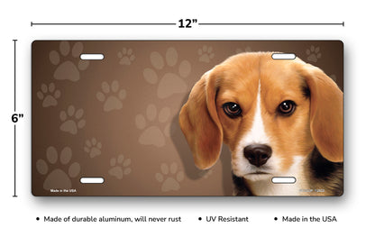 Beagle on Paw Prints License Plate