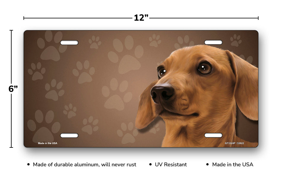 Brown Dachshund on Paw Prints License Plate