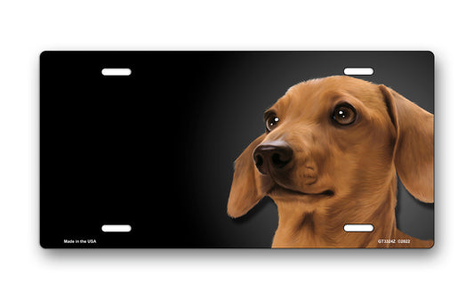 Dachshund (Brown) on Black Offset License Plate