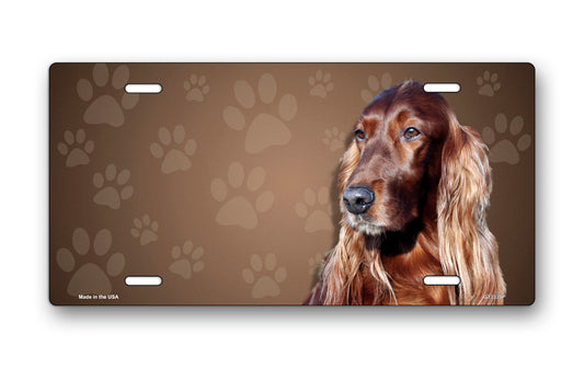 Irish Setter on Paw Prints License Plate