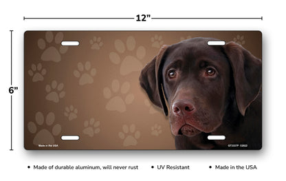 Chocolate Lab on Paw Prints License Plate