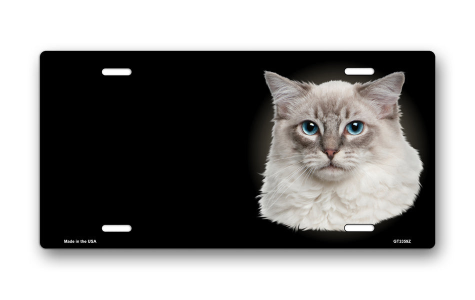 Ragdoll Cat on Black Offset License Plate