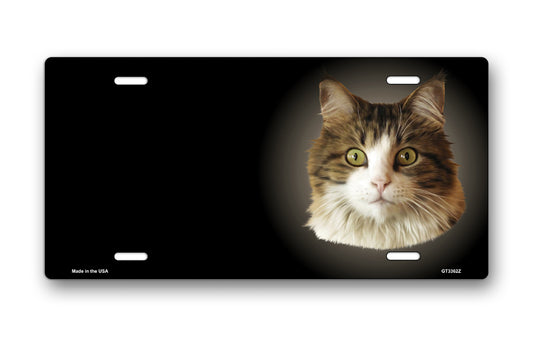 Main Coon Cat on Black Offset License Plate