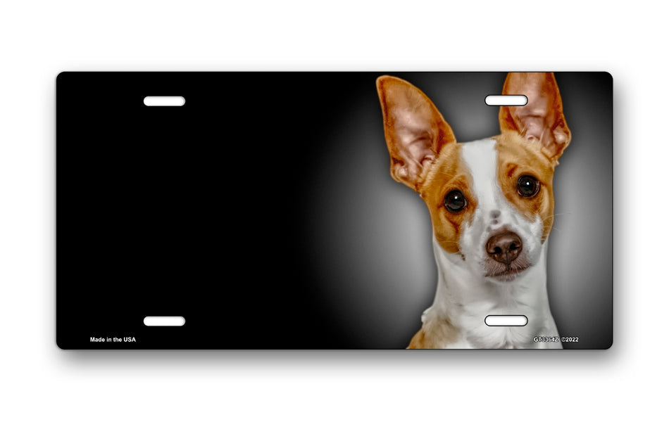 Rat Terrier on Black Offset License Plate