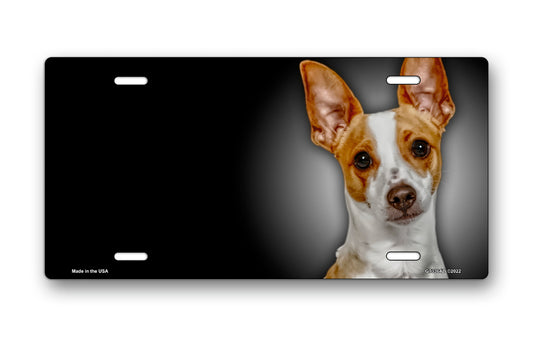 Rat Terrier on Black Offset License Plate