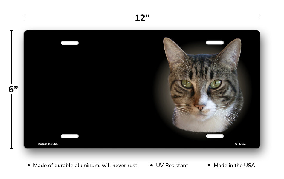 Grey and White Tabby Cat on Black Offset License Plate
