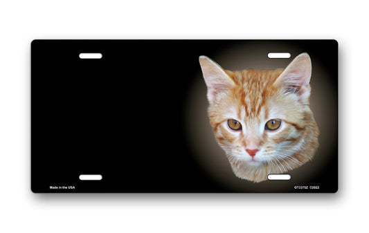 Orange and White Tabby Cat on Black Offset License Plate