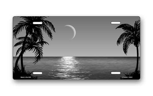 Silver Palms Beach Scenic License Plate