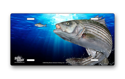 Salty Bones Striped Bass License Plate