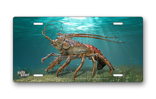 Salty Bones Lobster License Plate