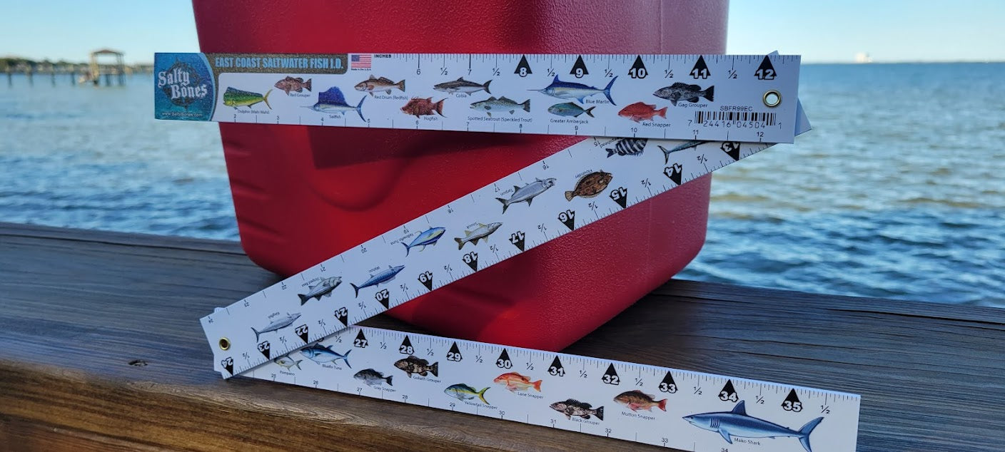 Salty Bones East Coast Saltwater Fish ID - 36