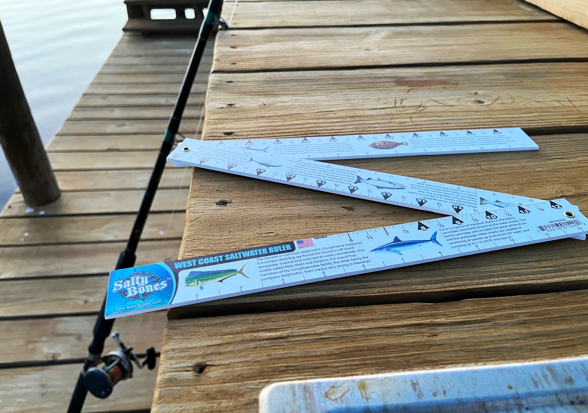 Salty Bones West Coast Saltwater Fish ID - 36